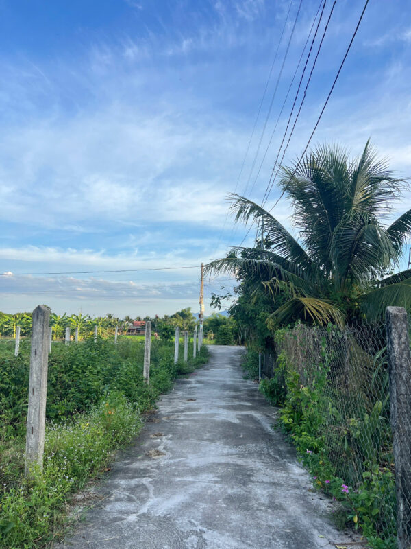 Bán Đất Nền Thôn Gò Mè, Suối Tiên - 181,7m² - 60m² Thổ Cư - Giá 750 Triệu - Hình ảnh 3