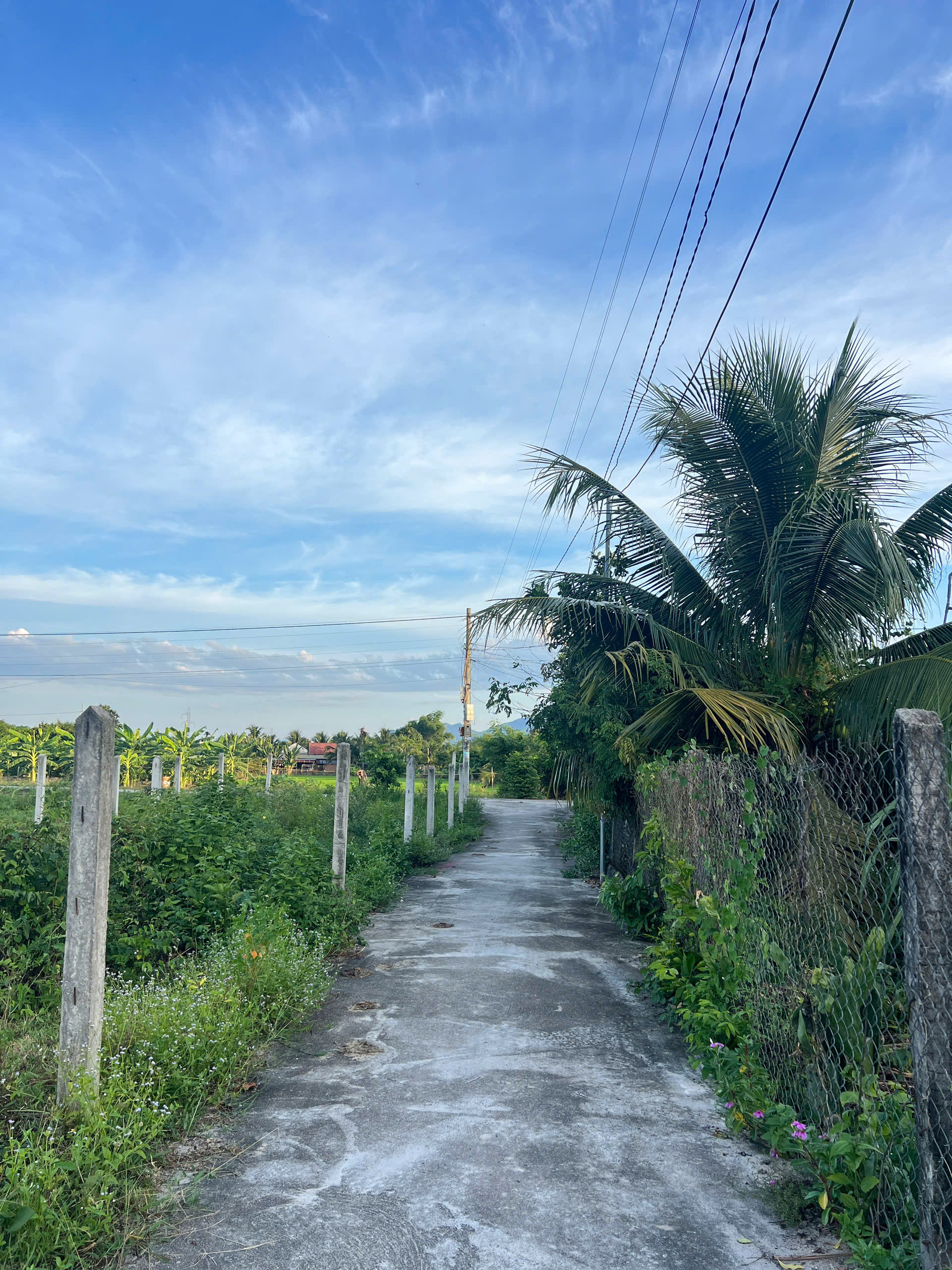 Bán Đất Nền Thôn Gò Mè, Suối Tiên - 181,7m² - 60m² Thổ Cư - Giá 750 Triệu - Hình ảnh 3