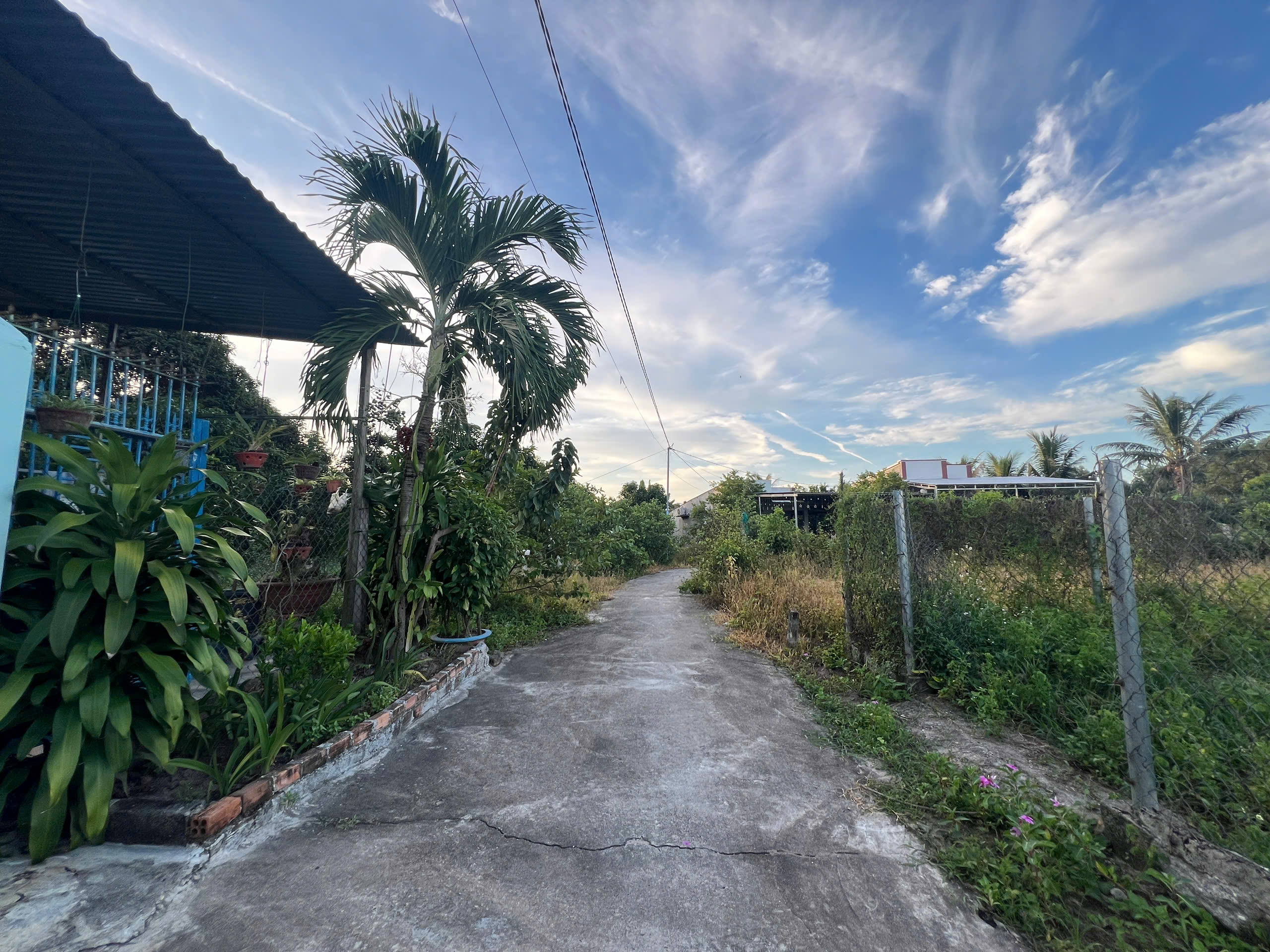 Bán Đất Nền Thôn Gò Mè, Suối Tiên - 181,7m² - 60m² Thổ Cư - Giá 750 Triệu - Hình ảnh 5