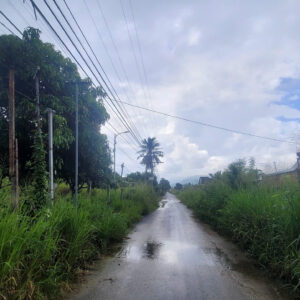 Bán Nhà Cấp 4 Siêu Rộng 595m² - Suối Hiệp, Diên Khánh - Giá 4,2 triệu/m² - Hình ảnh 3