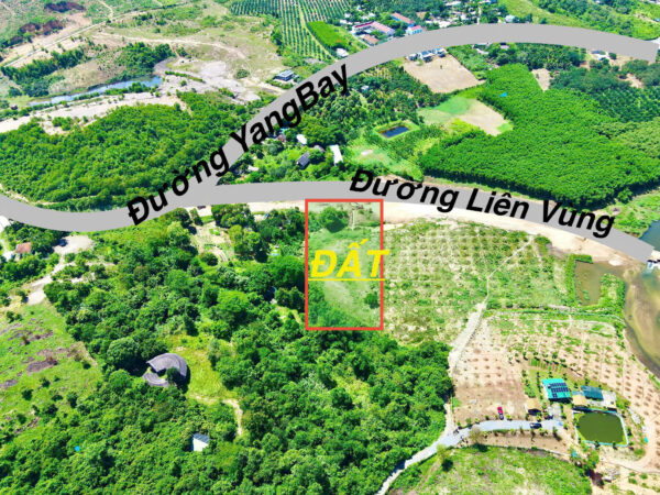 Đất Vườn Khánh Vĩnh 3000m² - Mặt Tiền Đường Liên Vùng, Giá Hạ Sốc Chỉ 950 Triệu (Bao Sổ) - Hình ảnh 1