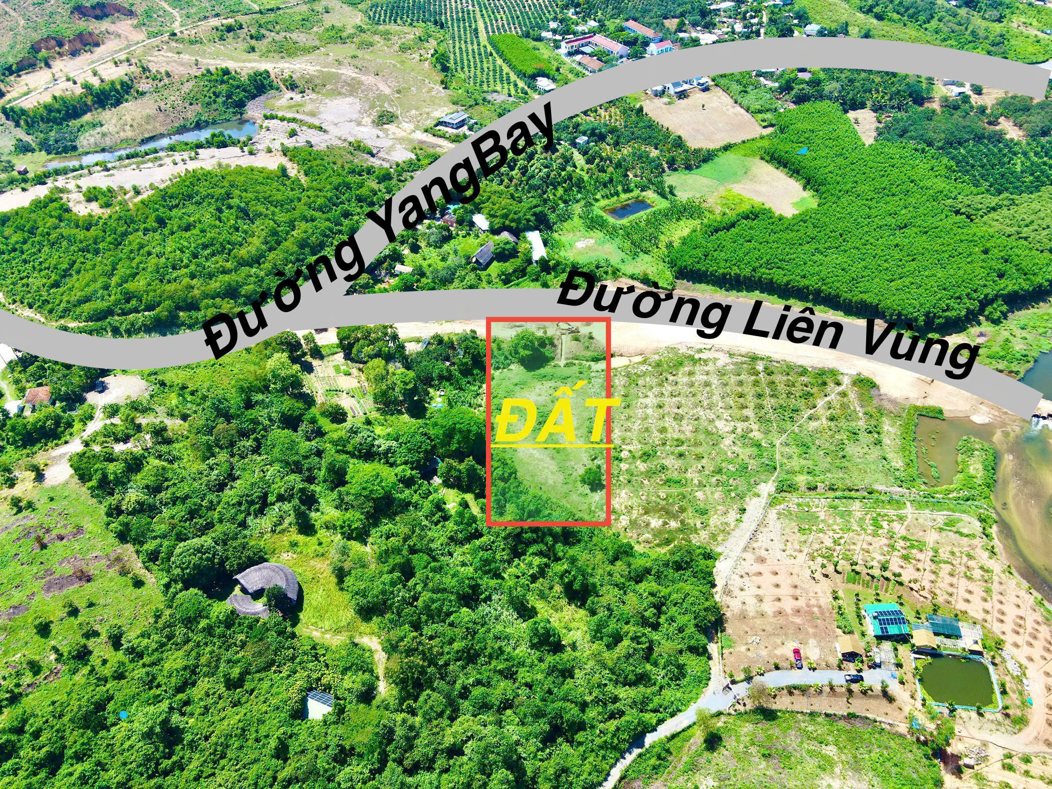 Đất Vườn Khánh Vĩnh 3000m² - Mặt Tiền Đường Liên Vùng, Giá Hạ Sốc Chỉ 950 Triệu (Bao Sổ) - Hình ảnh 1