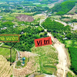 Đất Vườn Khánh Vĩnh 3000m² - Mặt Tiền Đường Liên Vùng, Giá Hạ Sốc Chỉ 950 Triệu (Bao Sổ) - Hình ảnh 2