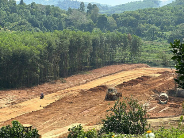 Đất Vườn Khánh Vĩnh 3000m² - Mặt Tiền Đường Liên Vùng, Giá Hạ Sốc Chỉ 950 Triệu (Bao Sổ) - Hình ảnh 7