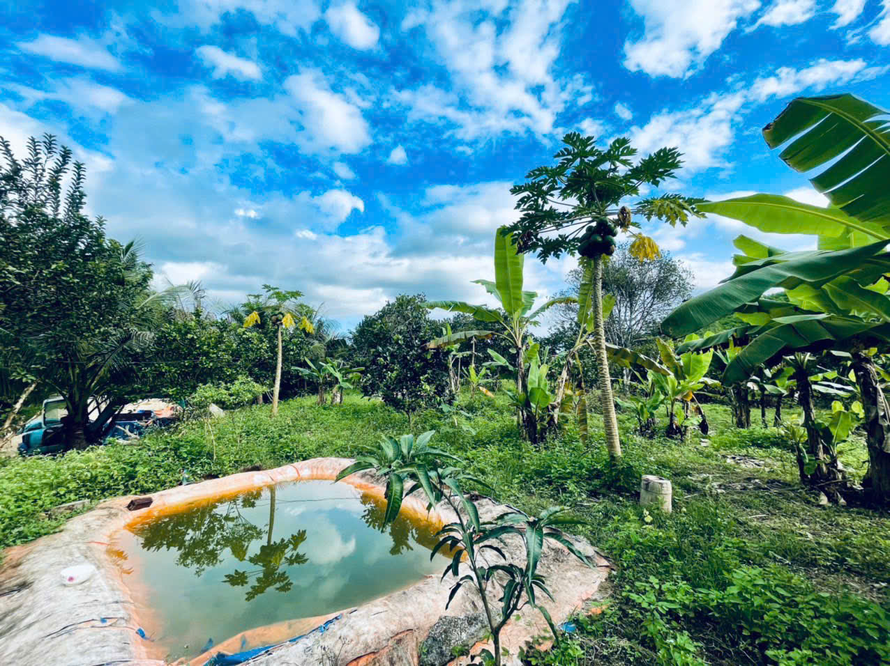 Bán Đất Vườn Giáp Sông Cái & Mặt Tiền Tỉnh Lộ 2 Diên Thọ - Giá 6 Tỷ - Hình ảnh 3