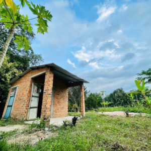 Bán Đất Vườn Giáp Sông Cái & Mặt Tiền Tỉnh Lộ 2 Diên Thọ - Giá 6 Tỷ - Hình ảnh 2