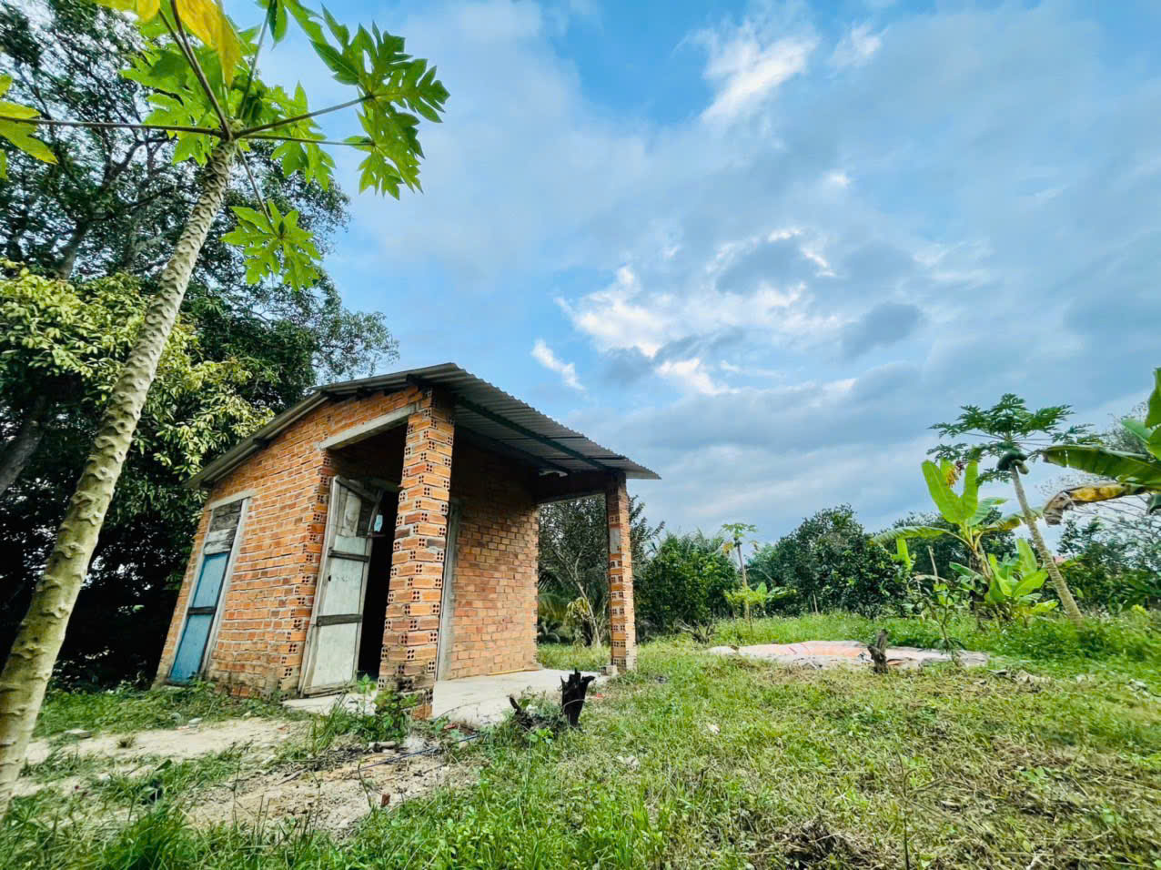 Bán Đất Vườn Giáp Sông Cái & Mặt Tiền Tỉnh Lộ 2 Diên Thọ - Giá 6 Tỷ - Hình ảnh 2