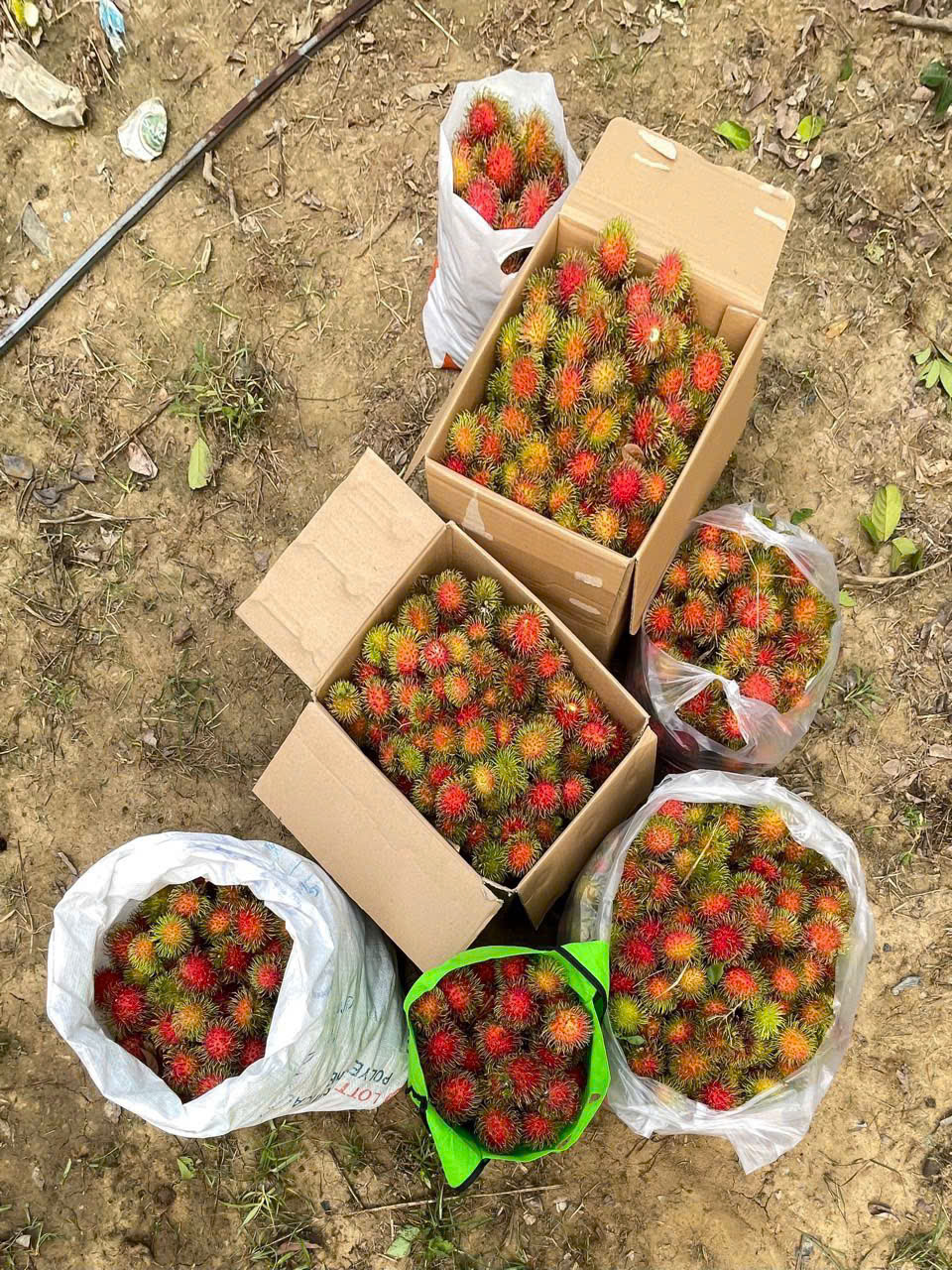 Bán Đất Vườn Giáp Sông Cái & Mặt Tiền Tỉnh Lộ 2 Diên Thọ - Giá 6 Tỷ - Hình ảnh 7