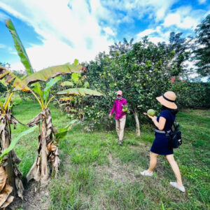 Bán Đất Vườn Giáp Sông Cái & Mặt Tiền Tỉnh Lộ 2 Diên Thọ - Giá 6 Tỷ - Hình ảnh 5