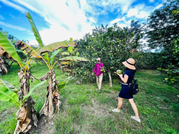 Bán Đất Vườn Giáp Sông Cái & Mặt Tiền Tỉnh Lộ 2 Diên Thọ - Giá 6 Tỷ - Hình ảnh 5