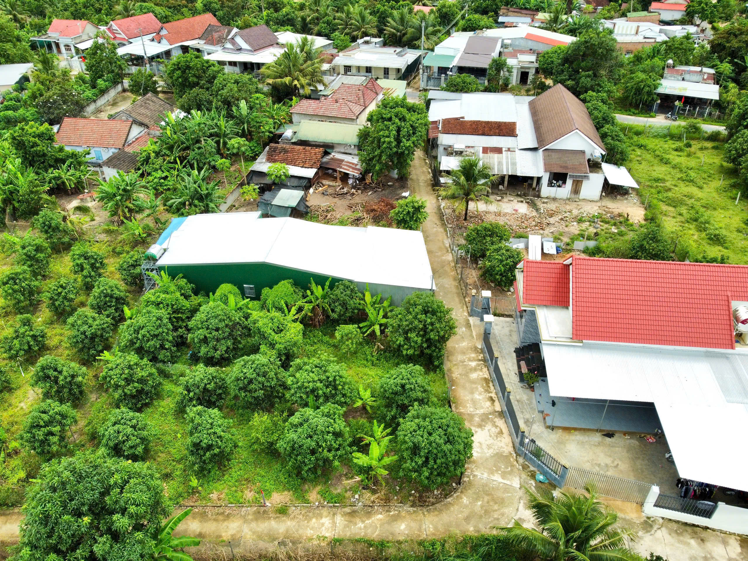 Bán 3 Lô Đất Nền Full Thổ Cư Suối Hiệp (Suối Tiên Cũ) - Chỉ Từ 550 Triệu - Hình ảnh 5