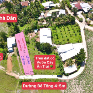 Bán Đất Vườn Diên Xuân Diên Khánh 509m2 - Chỉ Hơn 1.5 triệu/m2 Có Thổ Cư - Hình ảnh 2