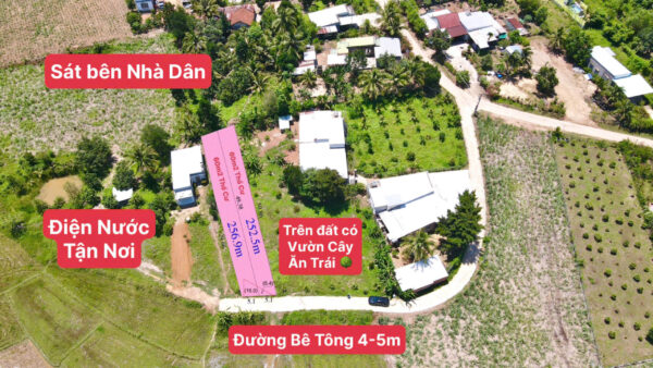 Bán Đất Vườn Diên Xuân Diên Khánh 509m2 - Chỉ Hơn 1.5 triệu/m2 Có Thổ Cư - Hình ảnh 2