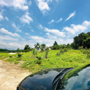 Bán Đất Vườn Diên Xuân Diên Khánh 509m2 - Chỉ Hơn 1.5 triệu/m2 Có Thổ Cư - Hình ảnh 6