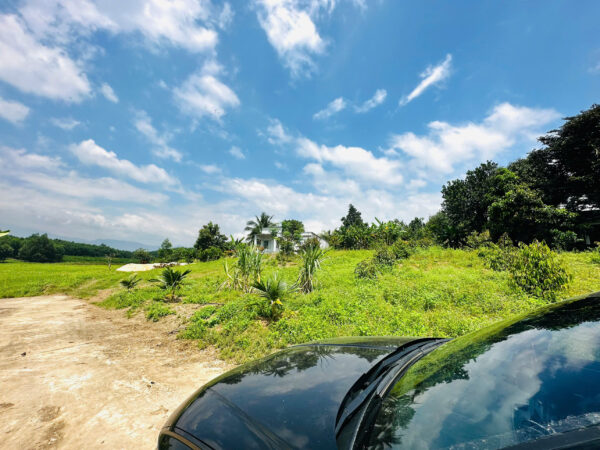 Bán Đất Vườn Diên Xuân Diên Khánh 509m2 - Chỉ Hơn 1.5 triệu/m2 Có Thổ Cư - Hình ảnh 6