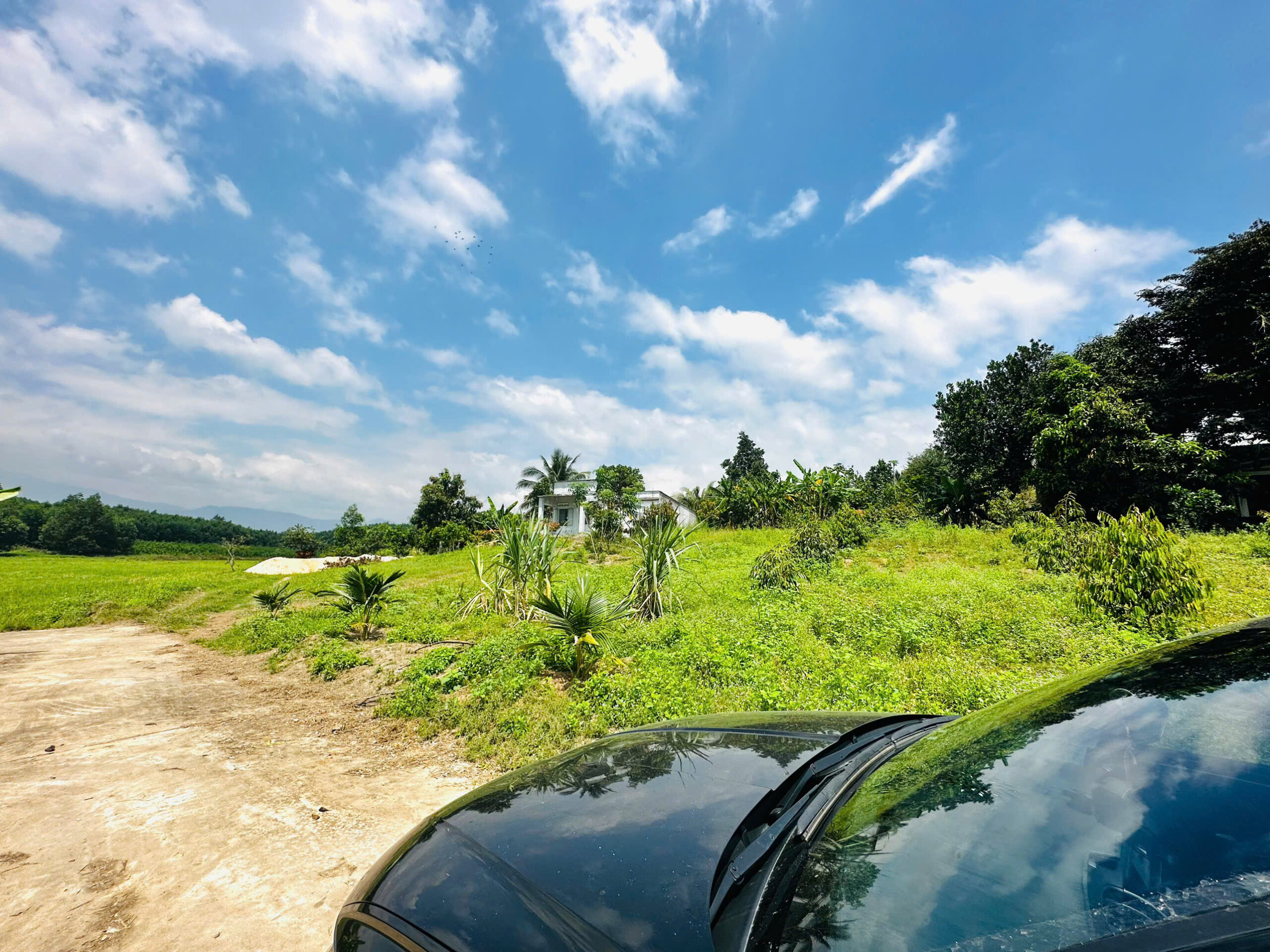 Bán Đất Vườn Diên Xuân Diên Khánh 509m2 - Chỉ Hơn 1.5 triệu/m2 Có Thổ Cư - Hình ảnh 6