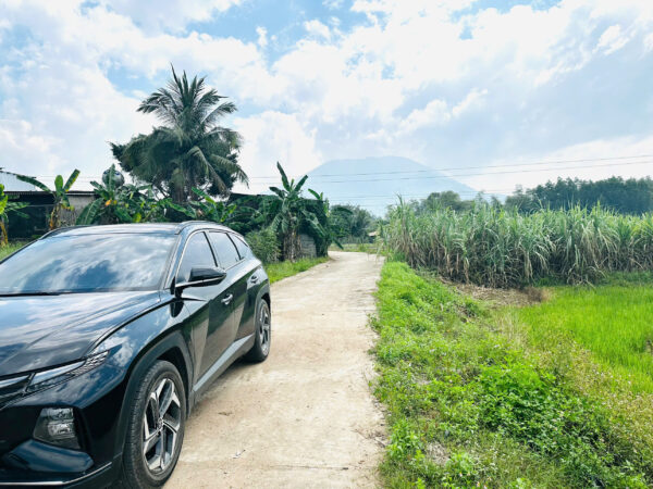 Bán Đất Vườn Diên Xuân Diên Khánh 509m2 - Chỉ Hơn 1.5 triệu/m2 Có Thổ Cư - Hình ảnh 5