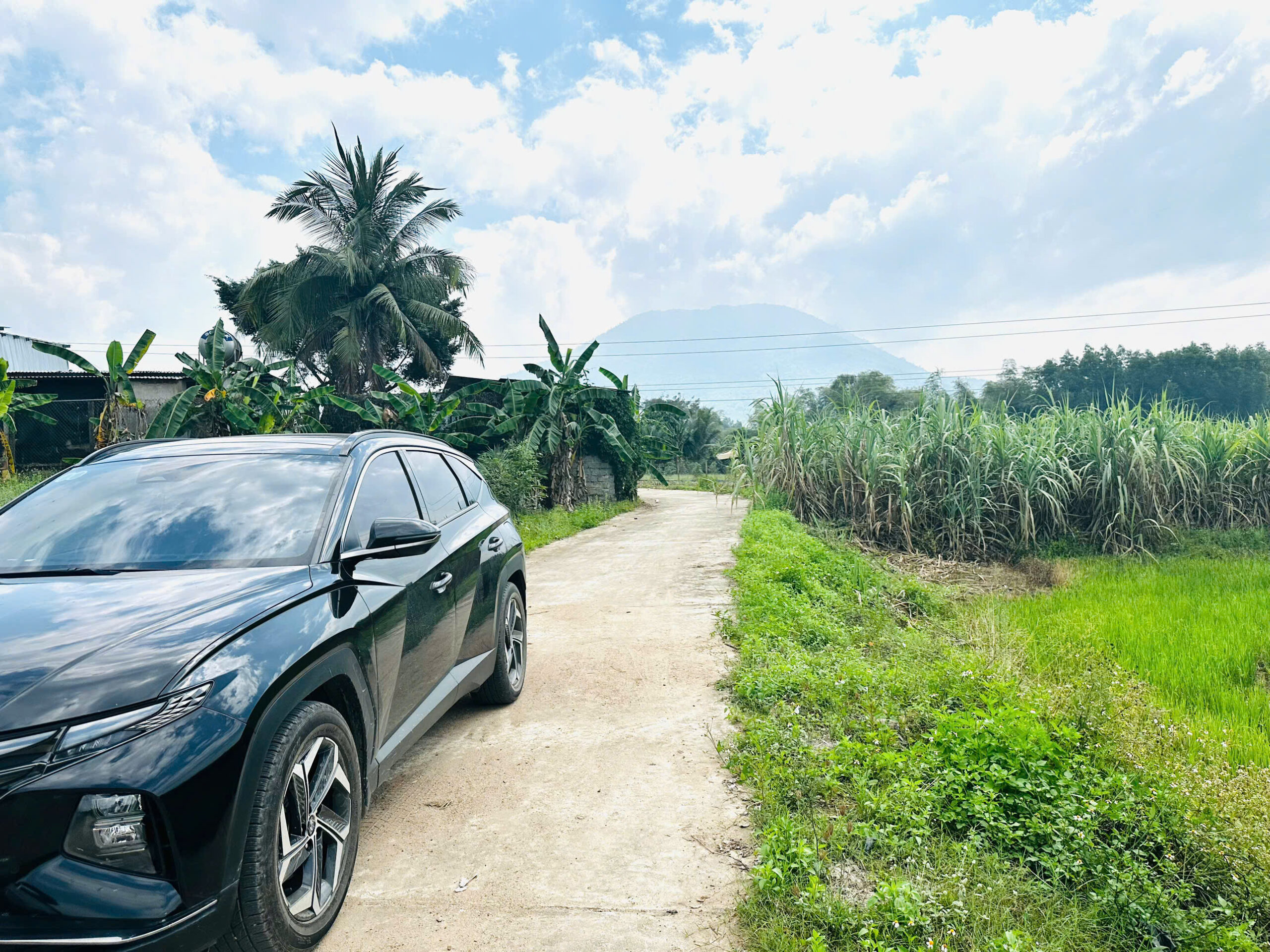 Bán Đất Vườn Diên Xuân Diên Khánh 509m2 - Chỉ Hơn 1.5 triệu/m2 Có Thổ Cư - Hình ảnh 5