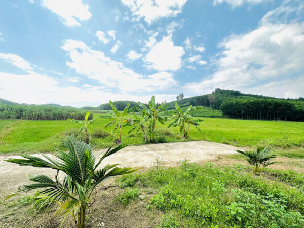 Bán Đất Vườn Diên Xuân Diên Khánh 509m2 - Chỉ Hơn 1.5 triệu/m2 Có Thổ Cư - Hình ảnh 4