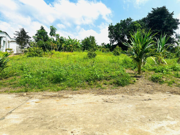 Bán Đất Vườn Diên Xuân Diên Khánh 509m2 - Chỉ Hơn 1.5 triệu/m2 Có Thổ Cư - Hình ảnh 3