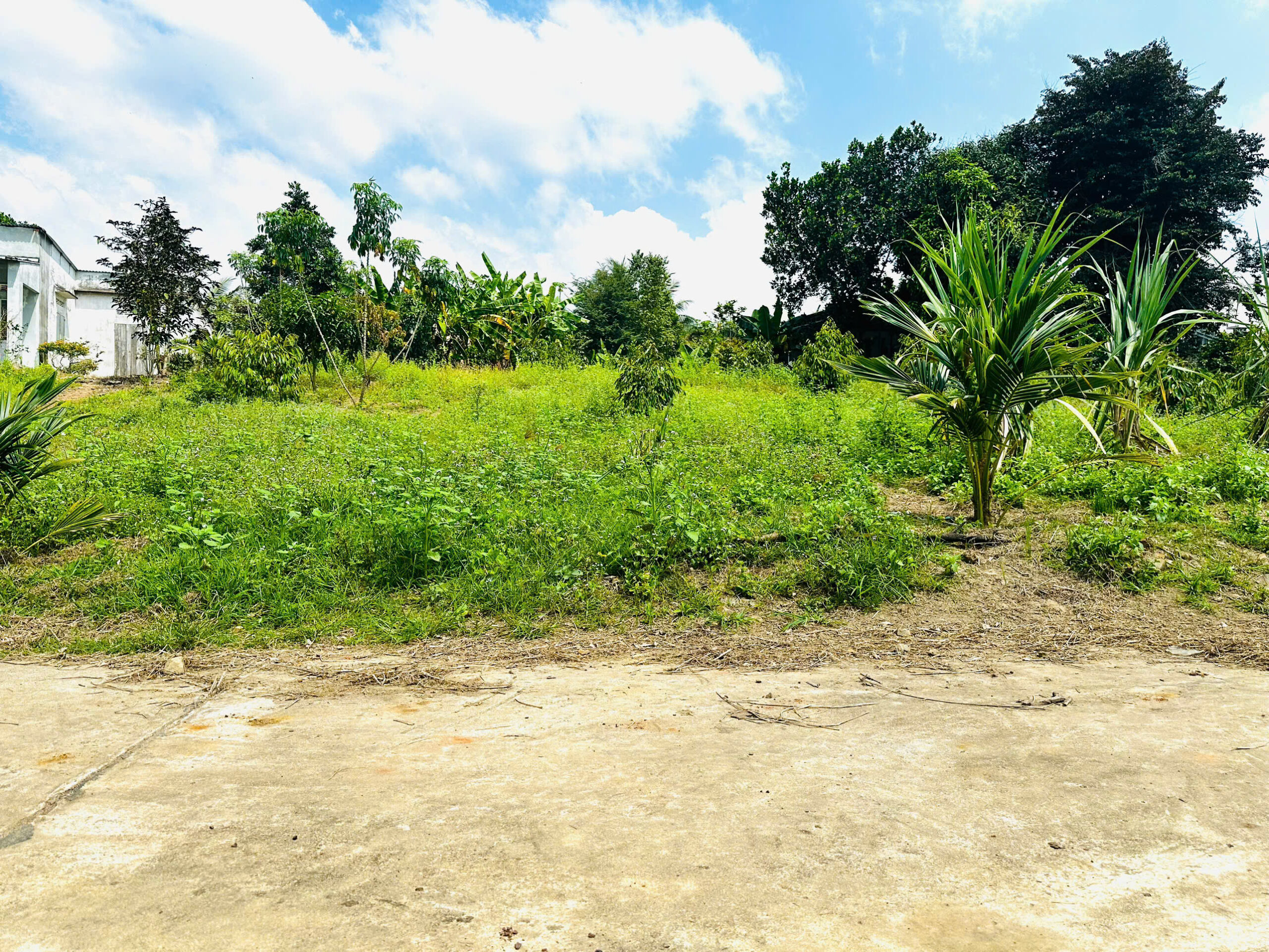 Bán Đất Vườn Diên Xuân Diên Khánh 509m2 - Chỉ Hơn 1.5 triệu/m2 Có Thổ Cư - Hình ảnh 3