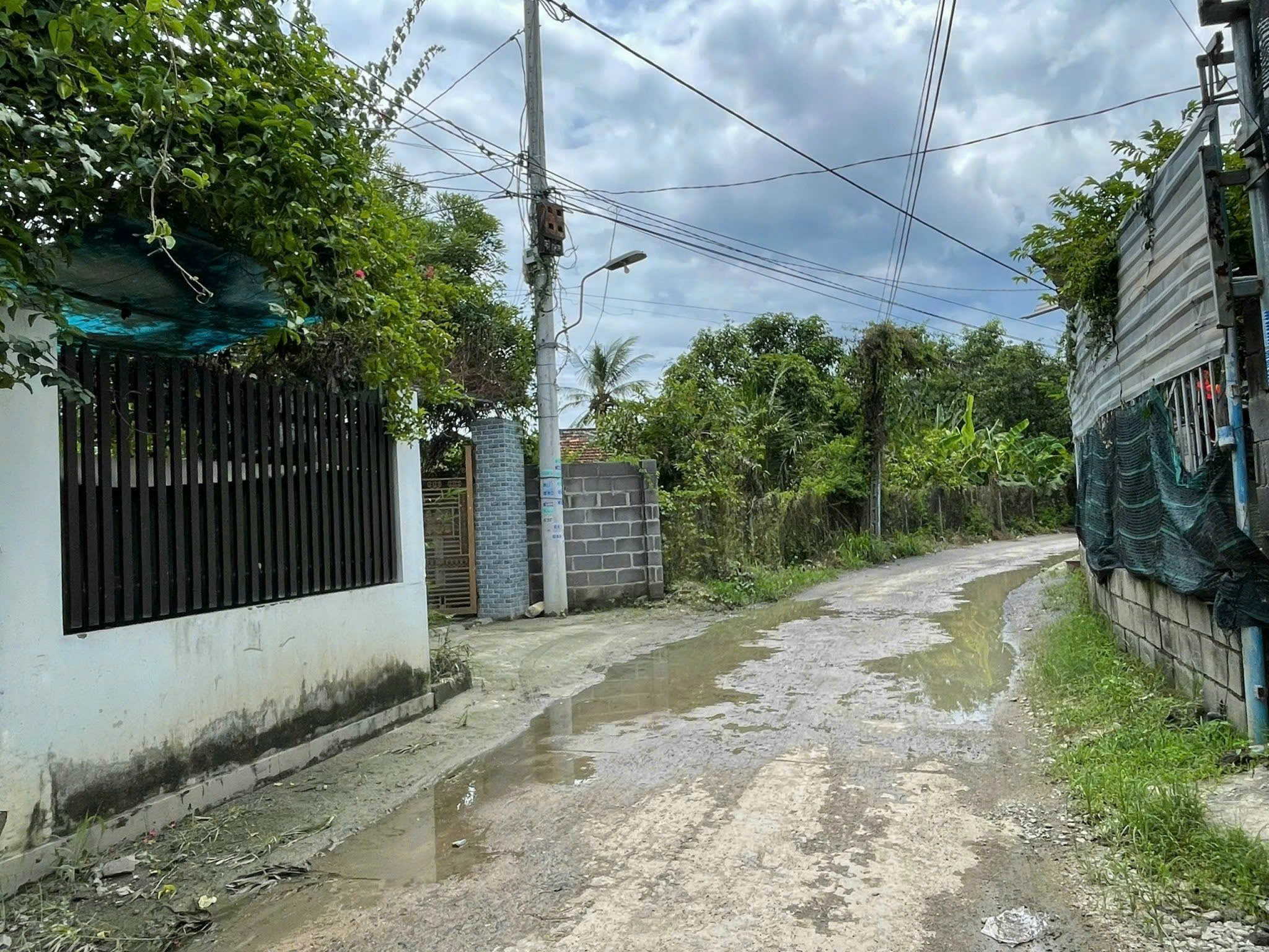 Bán Nhà Vườn Diên Phú - Diên Khánh | 557m² - 4,6 Tỷ - Gần Nha Trang - Hình ảnh 7