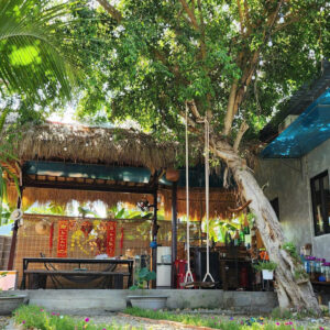 Bán Nhà Vườn Diên Phú - Diên Khánh | 557m² - 4,6 Tỷ - Gần Nha Trang - Hình ảnh 4