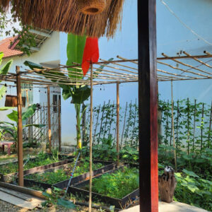 Bán Nhà Vườn Diên Phú - Diên Khánh | 557m² - 4,6 Tỷ - Gần Nha Trang - Hình ảnh 6