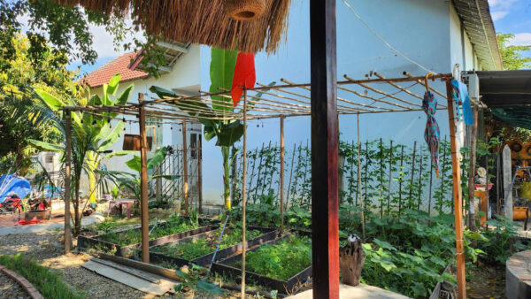 Bán Nhà Vườn Diên Phú - Diên Khánh | 557m² - 4,6 Tỷ - Gần Nha Trang - Hình ảnh 6