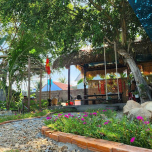 Bán Nhà Vườn Diên Phú - Diên Khánh | 557m² - 4,6 Tỷ - Gần Nha Trang - Hình ảnh 3