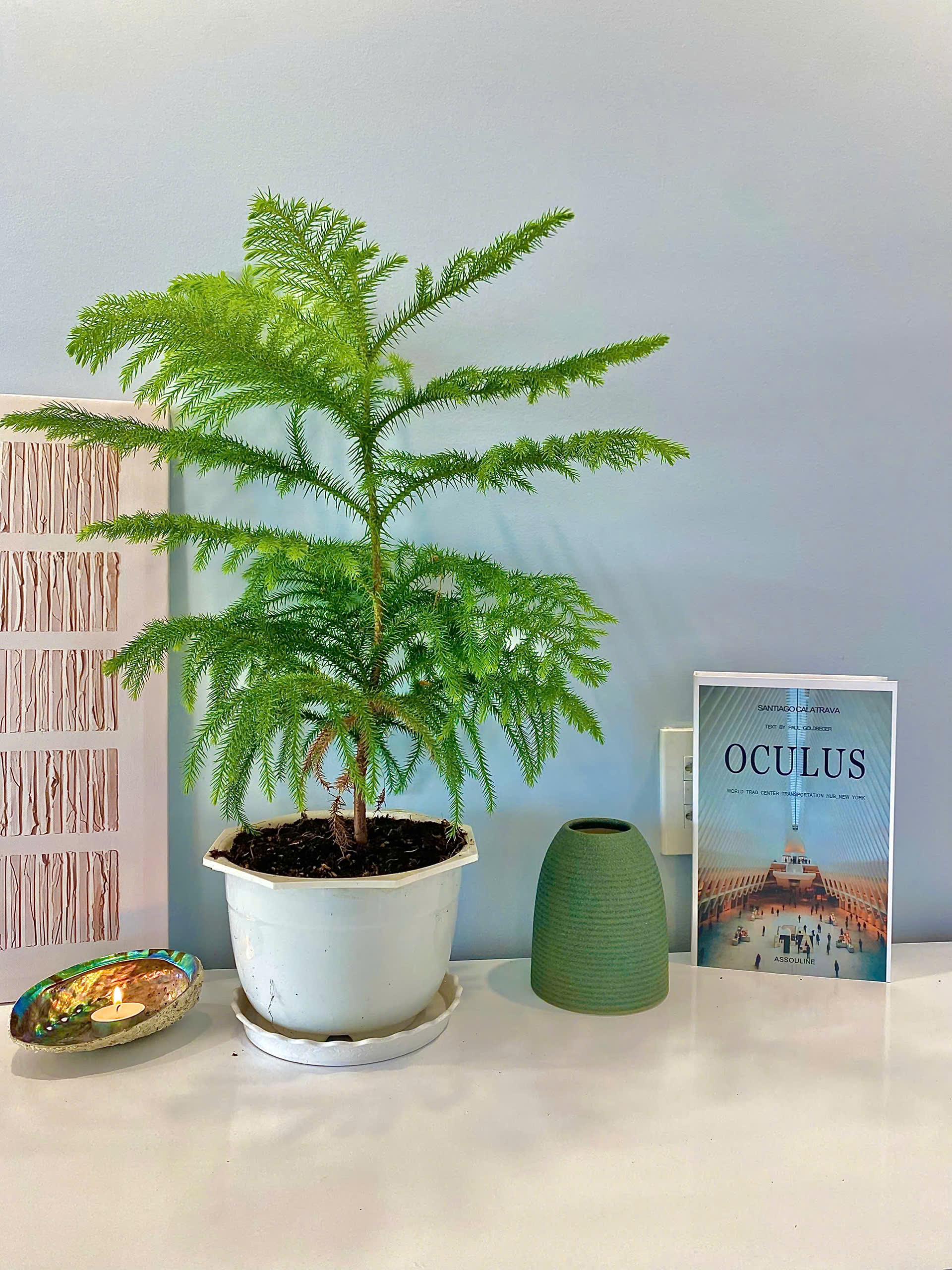 Bán Căn Góc Đẳng Cấp 2PN View Sân Vườn - Toà CT1, VCN Phước Hải - Hình ảnh 6