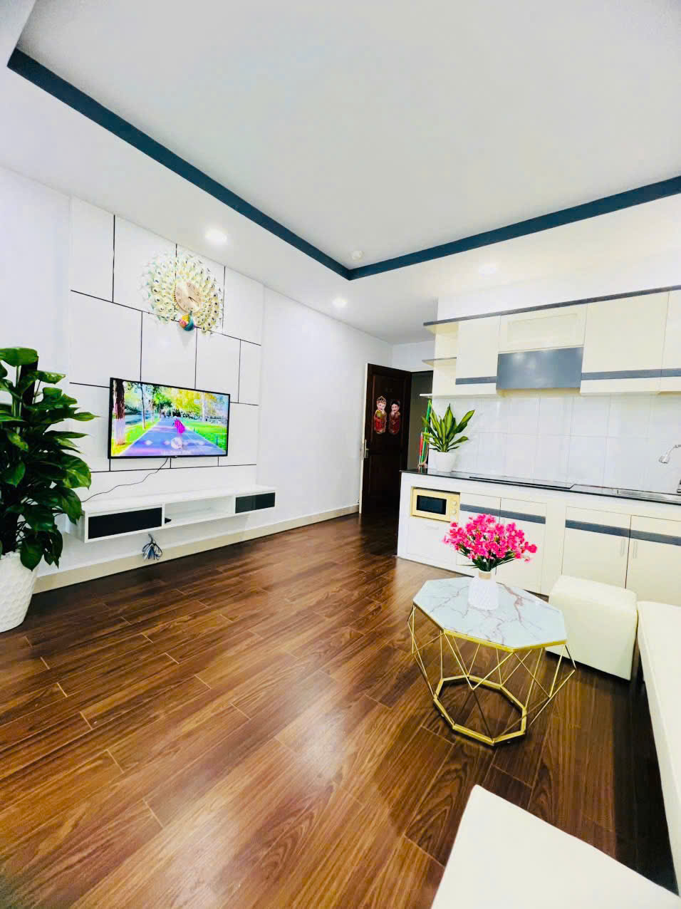 Bán Căn Hộ CT7 Vĩnh Điềm Trung, Nha Trang - 1PN Đầy Đủ Nội Thất, View Công Viên - Hình ảnh 3