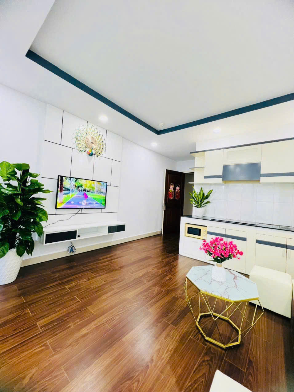 Bán Căn Hộ CT7 Vĩnh Điềm Trung, Nha Trang - 1PN Đầy Đủ Nội Thất, View Công Viên - Hình ảnh 9