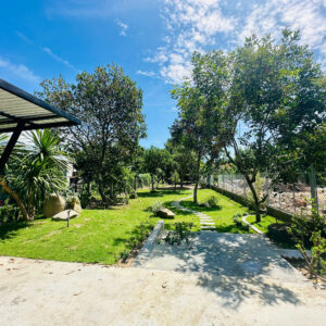 Bán Farm Mặt Tiền Thành Hồ - Diên Phước (486m2, 200m2 Thổ Cư) - Giá Bán 3,1 tỷ - Hình ảnh 4