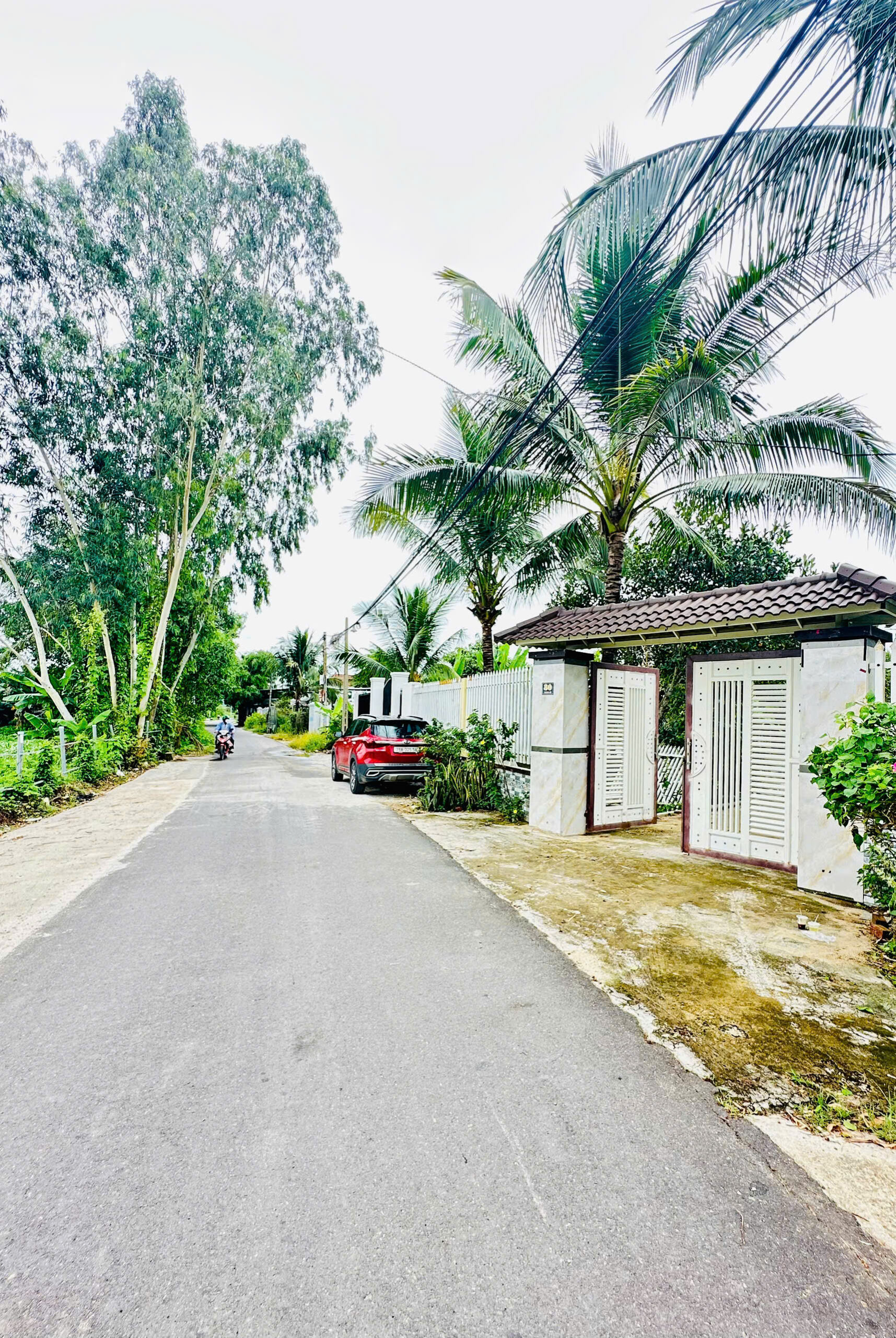 Bán Farm Mặt Tiền Thành Hồ - Diên Phước (486m2, 200m2 Thổ Cư) - Giá Bán 3,1 tỷ - Hình ảnh 7