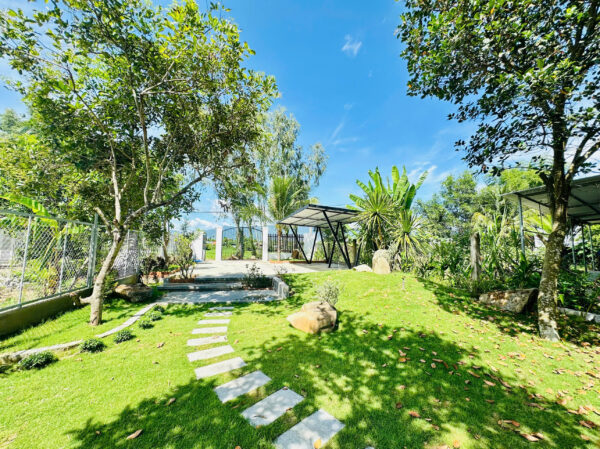 Bán Farm Mặt Tiền Thành Hồ - Diên Phước (486m2, 200m2 Thổ Cư) - Giá Bán 3,1 tỷ - Hình ảnh 6