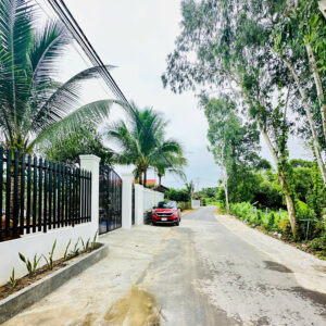 Bán Farm Mặt Tiền Thành Hồ - Diên Phước (486m2, 200m2 Thổ Cư) - Giá Bán 3,1 tỷ - Hình ảnh 3