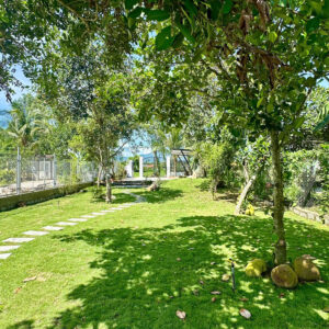 Bán Farm Mặt Tiền Thành Hồ - Diên Phước (486m2, 200m2 Thổ Cư) - Giá Bán 3,1 tỷ - Hình ảnh 5