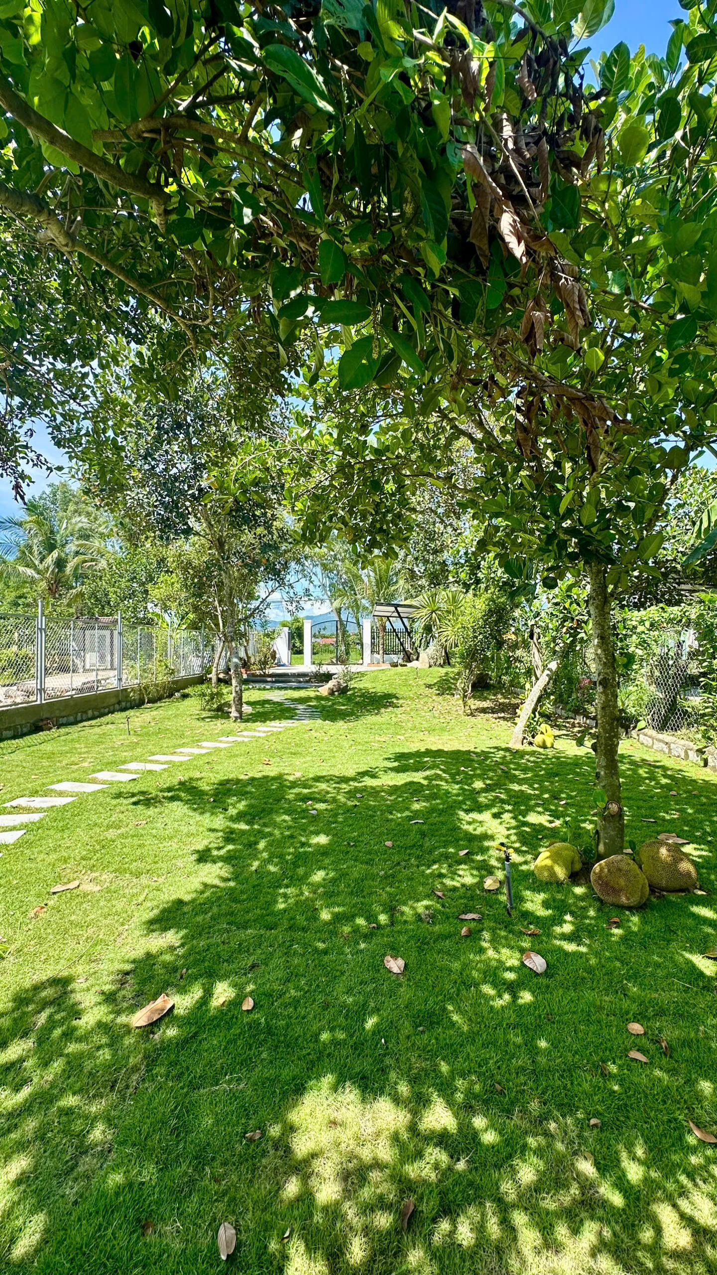 Bán Farm Mặt Tiền Thành Hồ - Diên Phước (486m2, 200m2 Thổ Cư) - Giá Bán 3,1 tỷ - Hình ảnh 5