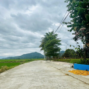 Bán 3 Lô Đất Liền Kề Diên Điền, Đường Gia Phổ - Giá Chỉ Từ 1,25 tỷ - Hình ảnh 8