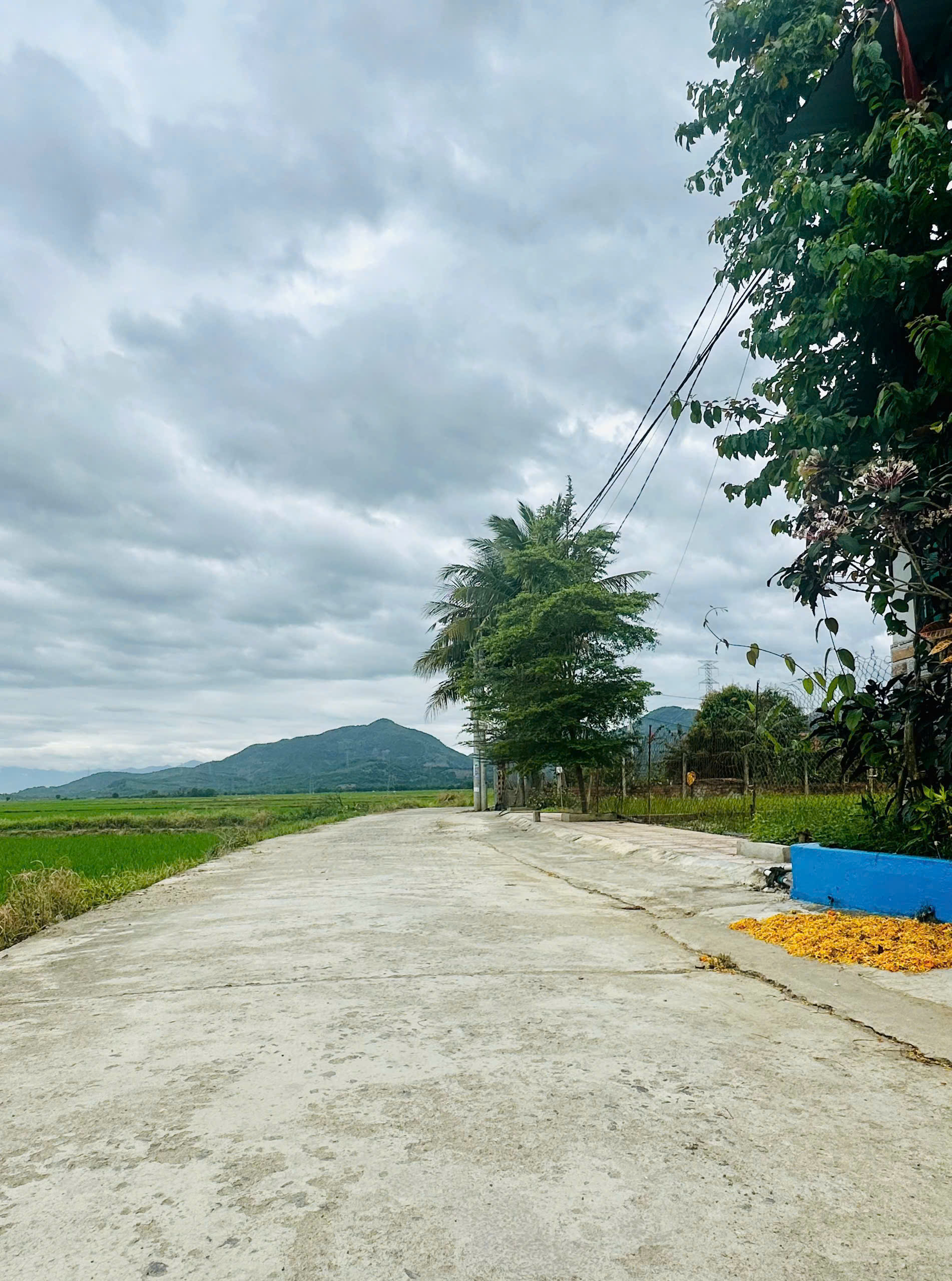 Bán 3 Lô Đất Liền Kề Diên Điền, Đường Gia Phổ - Giá Chỉ Từ 1,25 tỷ - Hình ảnh 8