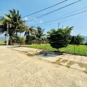 Bán 3 Lô Đất Liền Kề Diên Điền, Đường Gia Phổ - Giá Chỉ Từ 1,25 tỷ - Hình ảnh 2