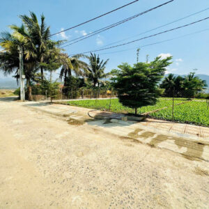 Bán 3 Lô Đất Liền Kề Diên Điền, Đường Gia Phổ - Giá Chỉ Từ 1,25 tỷ - Hình ảnh 7