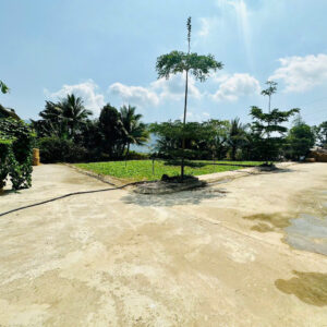 Bán 3 Lô Đất Liền Kề Diên Điền, Đường Gia Phổ - Giá Chỉ Từ 1,25 tỷ - Hình ảnh 6