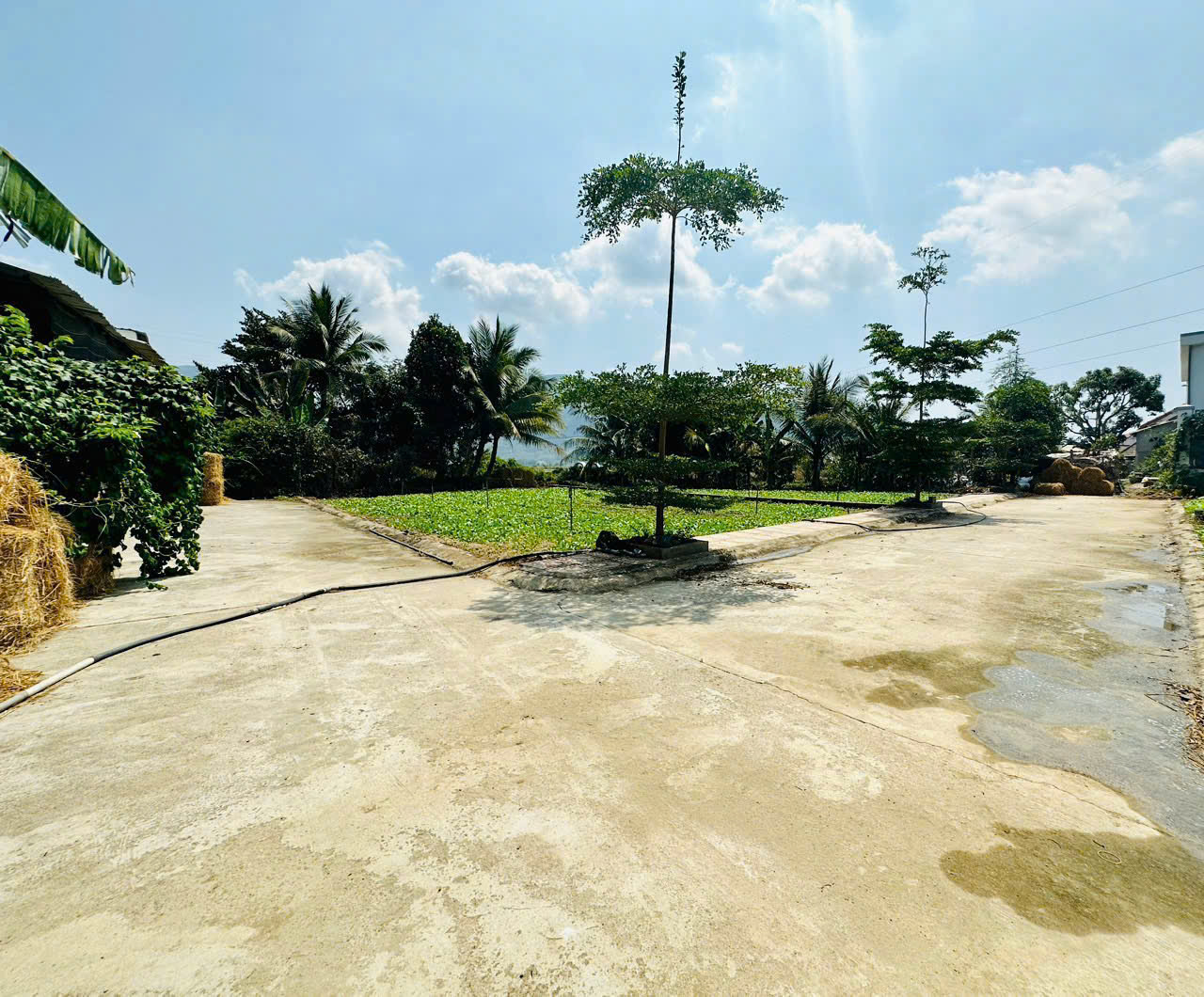 Bán 3 Lô Đất Liền Kề Diên Điền, Đường Gia Phổ - Giá Chỉ Từ 1,25 tỷ - Hình ảnh 6