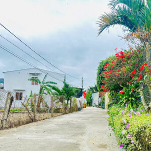 Bán 3 Lô Đất Liền Kề Diên Điền, Đường Gia Phổ - Giá Chỉ Từ 1,25 tỷ - Hình ảnh 5