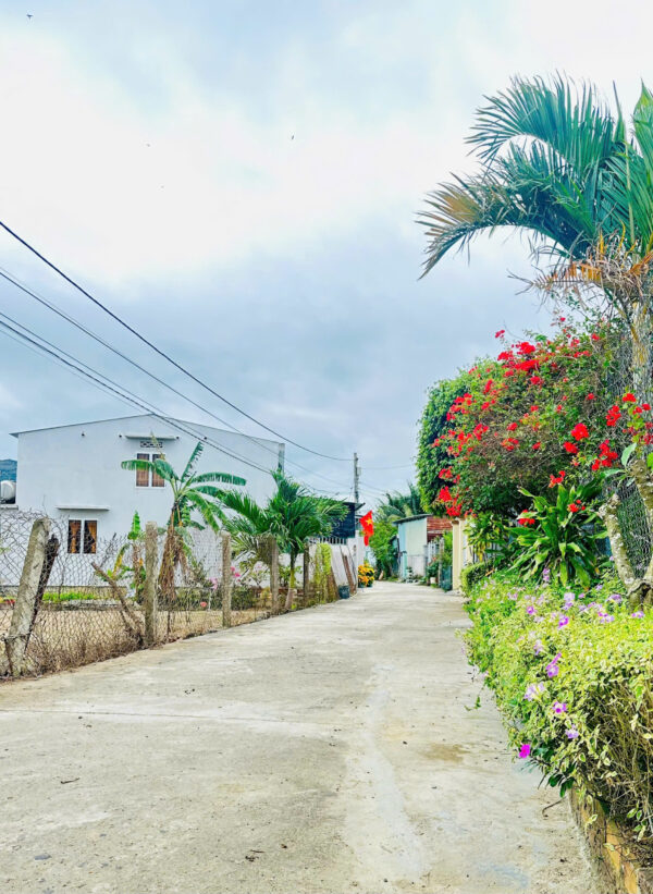 Bán 3 Lô Đất Liền Kề Diên Điền, Đường Gia Phổ - Giá Chỉ Từ 1,25 tỷ - Hình ảnh 5