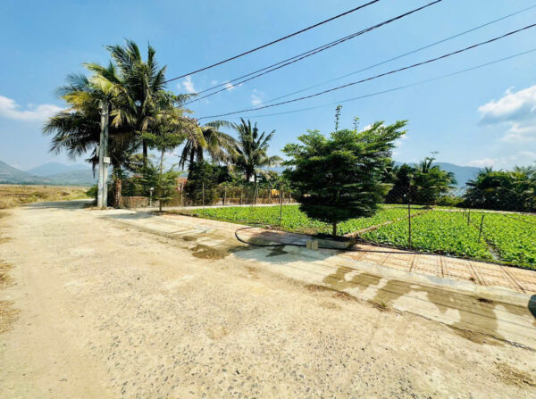 Bán 3 Lô Đất Liền Kề Diên Điền, Đường Gia Phổ - Giá Chỉ Từ 1,25 tỷ - Hình ảnh 4