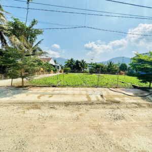 Bán 3 Lô Đất Liền Kề Diên Điền, Đường Gia Phổ - Giá Chỉ Từ 1,25 tỷ - Hình ảnh 3