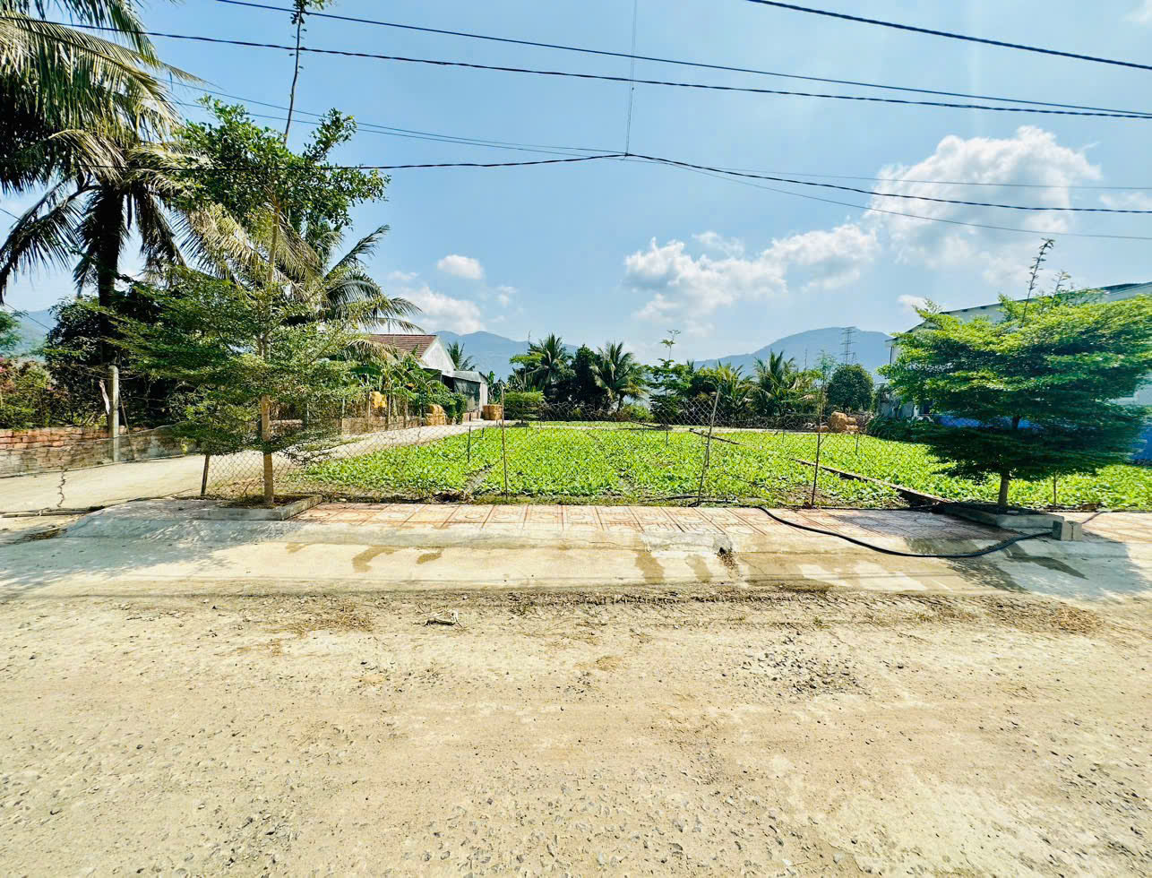 Bán 3 Lô Đất Liền Kề Diên Điền, Đường Gia Phổ - Giá Chỉ Từ 1,25 tỷ - Hình ảnh 3